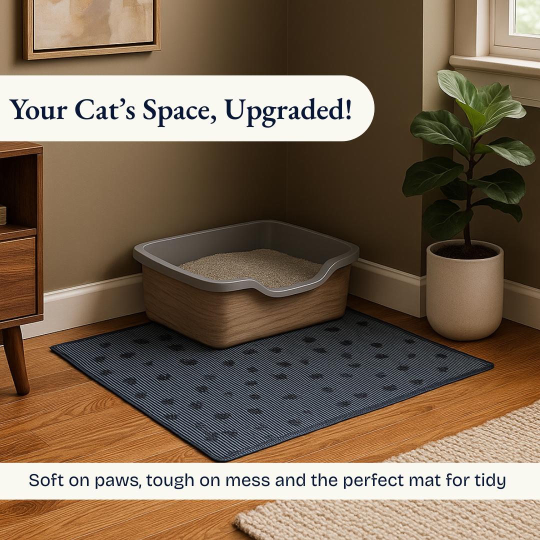Cat Mats Blue