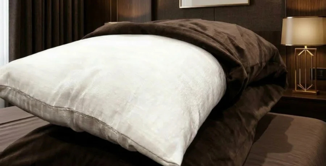 The Simple Way to Protect Your Pillow from Sweat, Dust, and Allergens